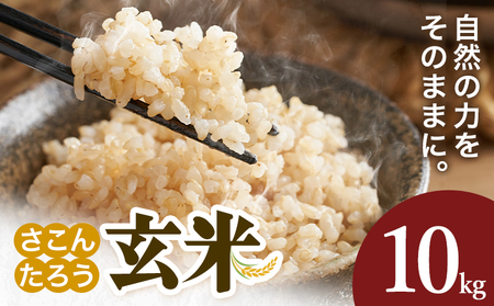 玄米 10kg さこんたろう《90日以内に発送予定(土日祝除く)》熊本県 御船町 コメ おこめ ごはん 熊本県産