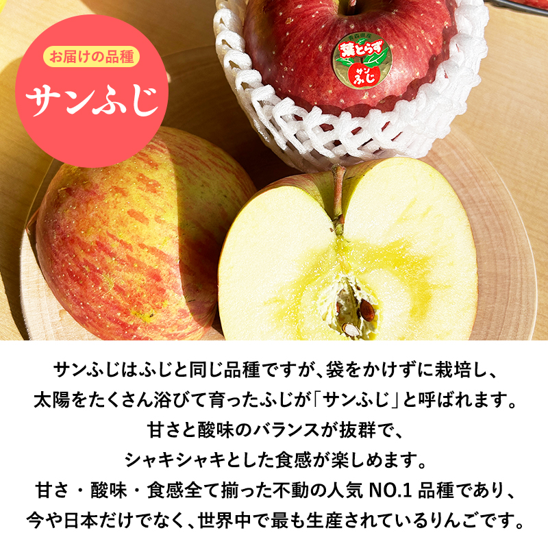 １１月～４月発送　贈答用葉とらずサンふじ5ｋｇ　【そと川りんご園・１１月・１２月・１月・２月・３月・４月・青森県産・平川市・りんご・葉とらずサンふじ・5ｋｇ・贈答用】