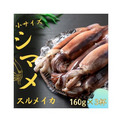 ふるさと納税 海士町 【朝どれシマメ 小サイズ丸ごと3杯セット】160g×3杯