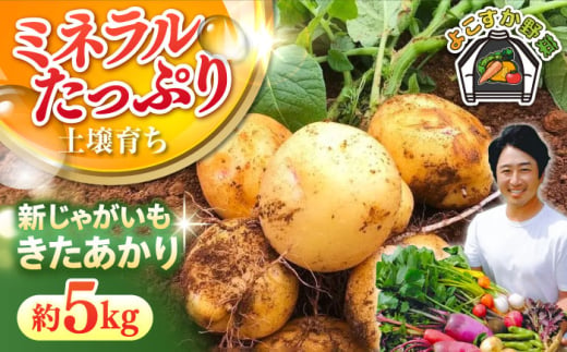 【先行予約】新じゃが きたあかり 約5kg 野菜 やさい 【鈴也ファーム】 [AKCE021]