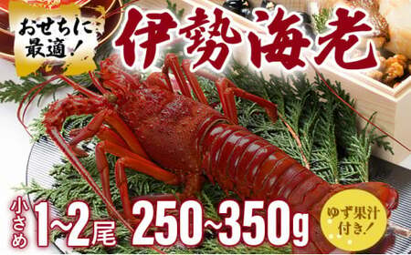 伊勢海老おせちサイズ 1~2尾セット【冷凍】S184 【株式会社森海家】