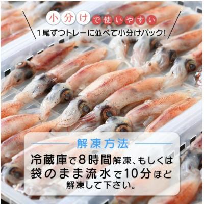 ふるさと納税 越前町 【越前海岸・美味直送シリーズ】ホタルイカ(刺身・しゃぶしゃぶ用) 約420g |  | 02