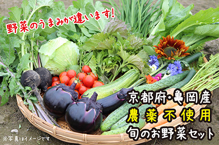 【12回定期便】京都府・亀岡産 自然農法＆農薬を使わずに育てた体も心も喜ぶ、かたもとオーガニックファームの季節のお野菜セット 毎回10～20品目　※離島への発送不可