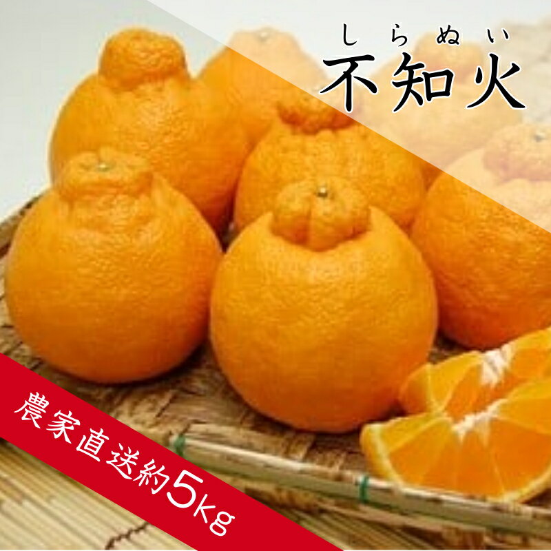 【ふるさと納税】不知火（約5kg）（A68-1）
