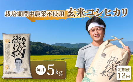 特別栽培米 栽培期間中農薬不使用 【12回お米定期便】玄米 コシヒカリ 数量限定 5キロ