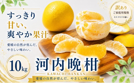 ＜訳あり 愛媛県産河内晩柑 合計約10kg＞『2027年3月下旬～7月上旬迄に順次出荷予定』 かわちばんかん ジューシー 甘い あまい 果汁 果物 くだもの フルーツ みかん オレンジ 柑橘 人気柑橘 特産品 株式会社OSN 愛媛県 西予市 【常温】