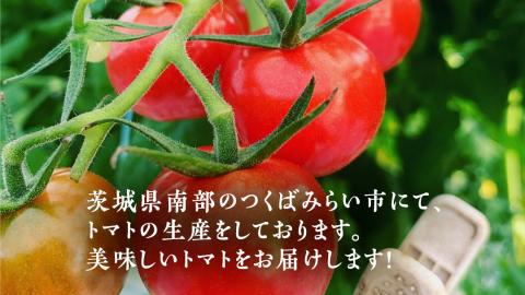 ぜいたくトマト！ 約2kg × 2箱 合計 約4kg ( 18～24個 ) トマト 大玉トマト  新鮮 美味しい 野菜