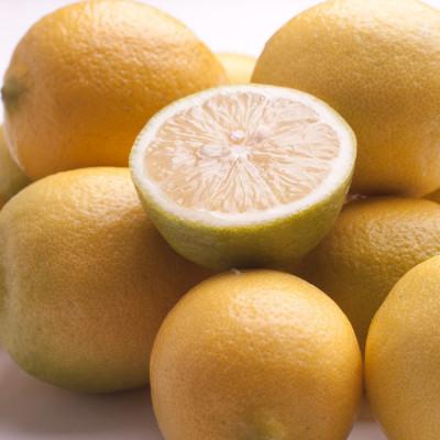 ふるさと納税 和歌山市 レモン1kg+250g(傷み補償分)【和歌山有田産】【防腐剤・WAX不使用、安心の国産レモン】 |  | 02