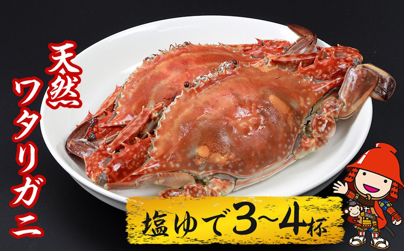 
【期間・数量限定】大分県中津産 天然ワタリガニ 塩ゆで 3～4杯 (800g～900g) 蟹 カニ 活きたまま塩茹 急速冷凍 カニ ワタリガニ
