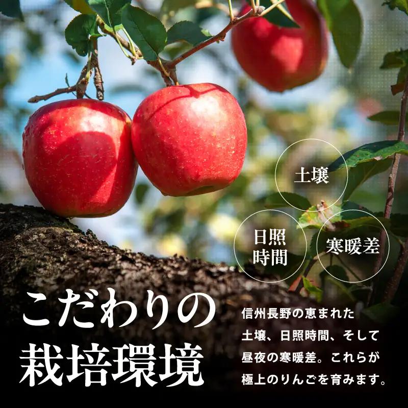 「 よっちゃん家の りんごジュース 」 セット 【1000ml瓶 2本入り】