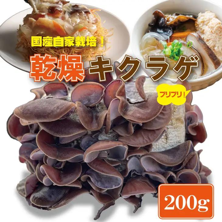 国産 自家製 乾燥 きくらげ （200g）ジョブクリエイト 肉厚 プリプリ キクラゲ 中華料理 ラーメン スープ アクセントに！  A080-028