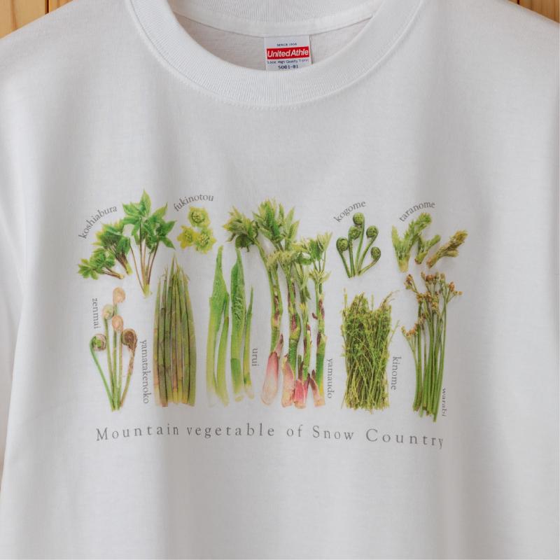世界で唯一!着る山菜!!【山菜図鑑Tシャツ・白】綿100%　Lサイズ
