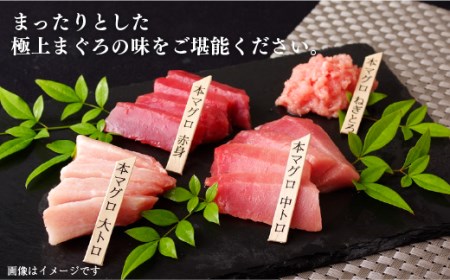本マグロ【12回定期便】長崎県産 本まぐろ 3種セット  ( 大トロ 中トロ 赤身 ) 総計800g以上【本家永松屋】