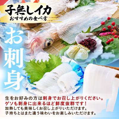 ふるさと納税 美浜町 丸焼き丸かぶり!旬真っ盛りの小剣先イカ(子持ヤリイカ)とれたて冷凍便 |  | 03