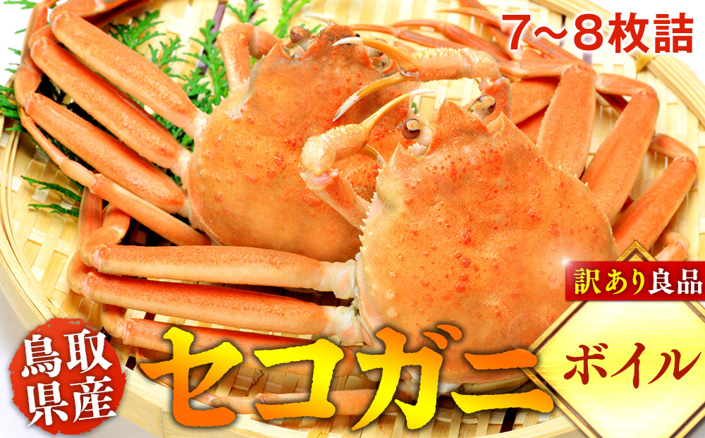 【ボイル】鳥取県産セコガニ　訳あり　良品7~8枚詰《かに カニ 蟹 セコガニ》※2025/11/6～2025/12/25に順次発送予定※着日指定不可  離島不可（北海道、沖縄本島は配送可能）