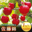 【ふるさと納税】 《2025年先行予約》山形県産 さくらんぼ 佐藤錦 1kg(500g×2) 秀 L以上 バラパック詰め 2025年6月上旬から順次発送 果実 果物くだもの フルーツ 桜桃 サクランボ 化粧箱 贈り物 ギフト 贈答用 家庭用 自宅用 産地直送 山形県 西川町 月山 FYN9-256