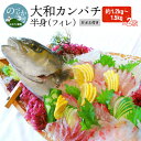 【ふるさと納税】「大和カンパチ」　半身（フィレ）約1.2kg〜1.5kg×2枚　かぶと付き　カルパッチョ　旬　国産　宮崎県延岡市　送料無料