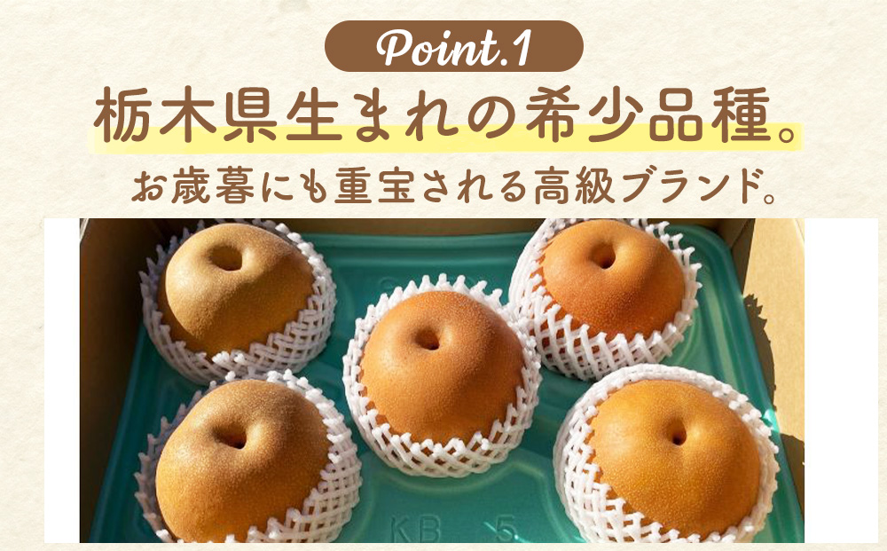 梨(にっこり) 2玉入り×1箱 (内容量1玉900g以上)※2025年10月上旬～11月下旬頃に順次発送予定