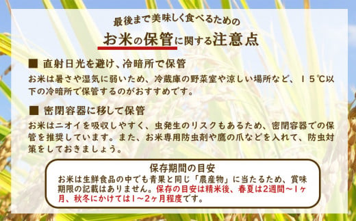 【令和7年度】限定品 えびの産 ヒノヒカリ 真幸米(まさきまい) 5kg 米 ひのひかり お米 精米 白米 おにぎり お弁当 宮崎県産 九州産 送料無料 冷めても美味しい