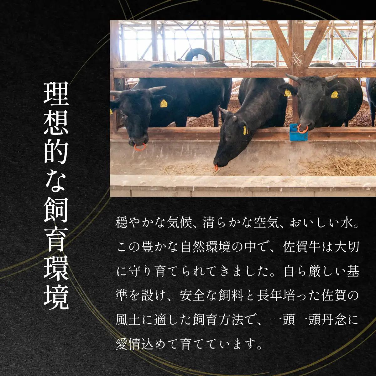 佐賀牛サーロインしゃぶしゃぶすき焼き用500g