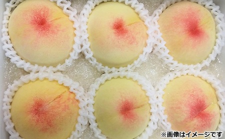 桃 2026年 先行予約 11月の旬な 白桃 冬桃 をお届け！約1.5kg 5～7玉 糖度センサー選果 糖度12度以上 もも モモ 岡山県 赤磐市産 国産 フルーツ 果物 ギフト あみかフルーツ　岡山