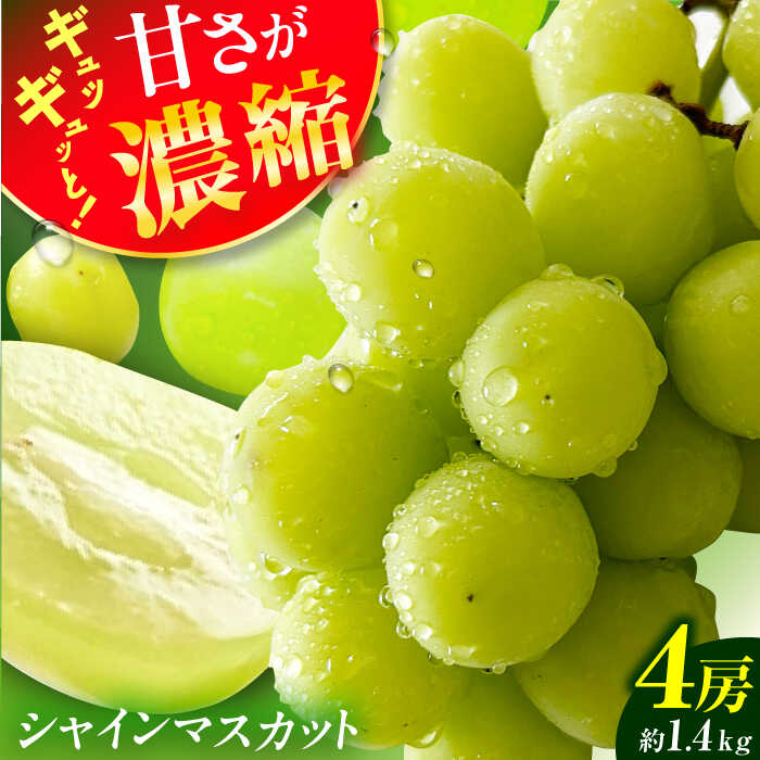【ふるさと納税】【★先行予約★　2025年8月下旬以降発送】シャインマスカット 約1.4kg 産地直送 果物 くだもの 旬 広川町 / JAふくおか八女農産物直売所どろや[AFAB007]