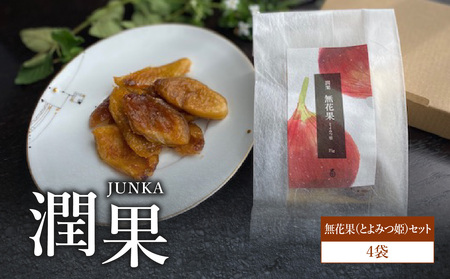 ドライフルーツ 潤果（無花果・とよみつ姫）セット ドライフルーツ いちじく ブランド果実 着色料不使用 保存料不使用 甘味 おやつ お茶菓子 おつまみ 福岡県 八女市 206-002