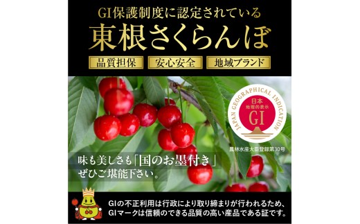 【2027年産 先行受付】 GI 東根さくらんぼ 紅秀峰 特秀品 約700g(350g×2P) 2Lサイズ以上 山形県 東根市 ベジフルひがしね hi104-018-r9 さくらんぼ サクランボ フル