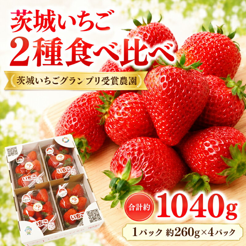 【ふるさと納税】 いちご 完熟 いちご 2品種 食べ比べ 4パック セット いばらキッス ひたち姫 茨城いちご 2027年1月中旬順次発送 イチゴ 苺 ichigo strawberry ストロベリー フルーツ 果物 果実 人気苺 ふるさと納税苺 おすすめ苺 ギフト 国産 関東 茨城県 茨城 筑西市 筑西