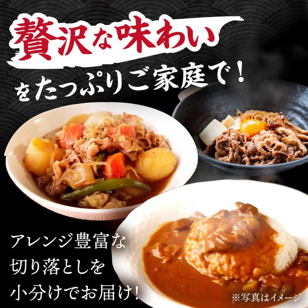  【12回定期便】【飛騨牛】切り落とし 総計6kg 〈1回あたり〉500g (250g×2) [TDC012] 切り落とし