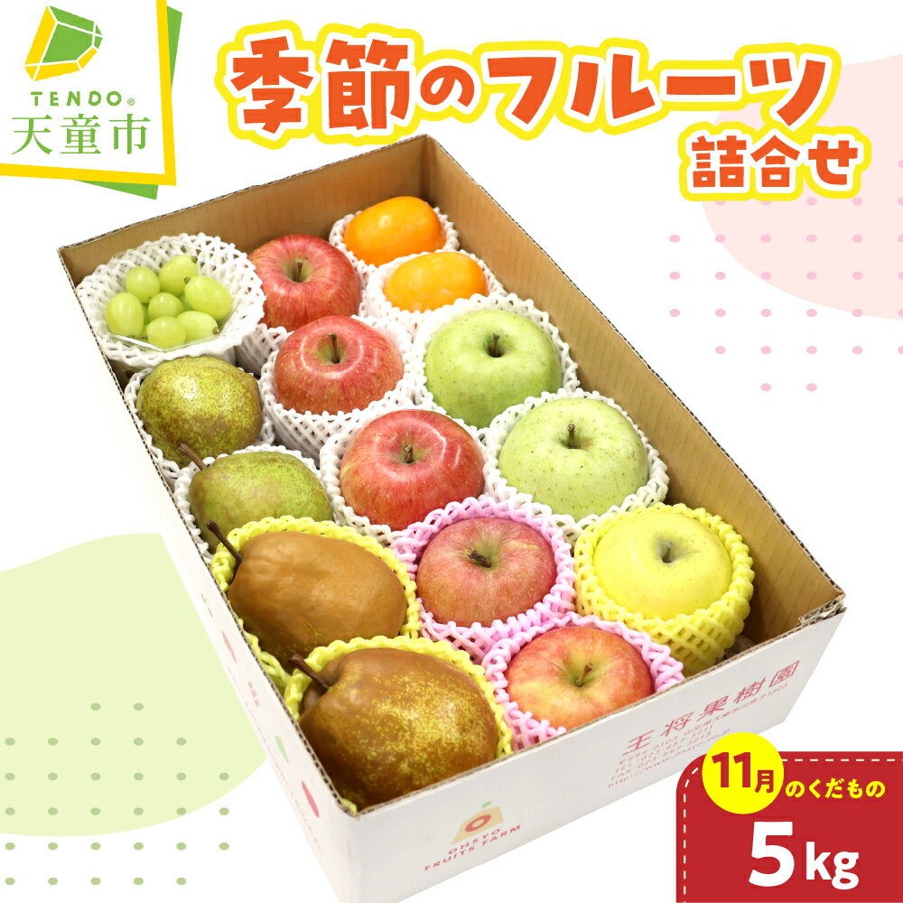 【ふるさと納税】 季節 の フルーツ 詰合せ 5kg ( 11月分 ) 令和8年産 先行予約 2026年 果物 くだもの フルーツ りんご 西洋梨 柿 ぶどう 山形 のし 贈答 お取り寄せグルメ 旬 産地直送 送料無料【 山形県 天童市 】
