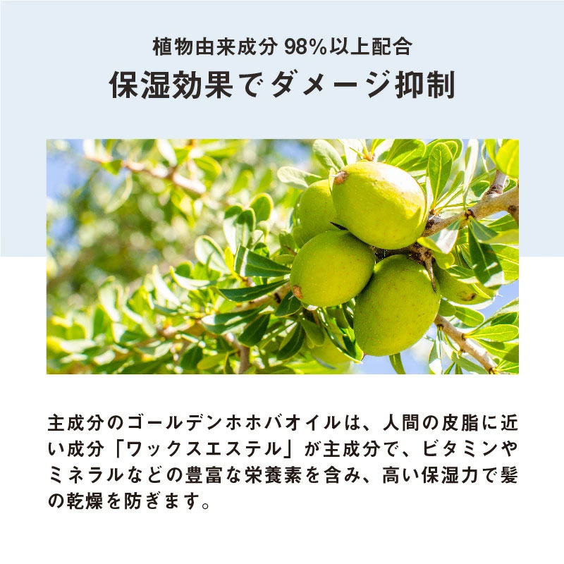 LUTY ルーティー スタイリングオイル ライト/リッチ 100ml スタイリング リッチ ライト ヘアケア 人気 プレゼント オイル パサつき ダメージ 乾燥 広がり しっとり まとまる ふんわり 