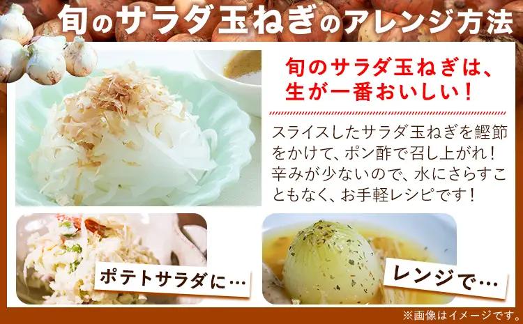 玉ねぎ 訳あり 節減対象農薬 当地比5割減 サラダ玉ねぎ (S-2Lサイズ) 5kg《3月下旬-4月下旬頃出荷予定》熊本県 葦北郡 津奈木町 篠原農園 野菜 たまねぎ 自然栽培