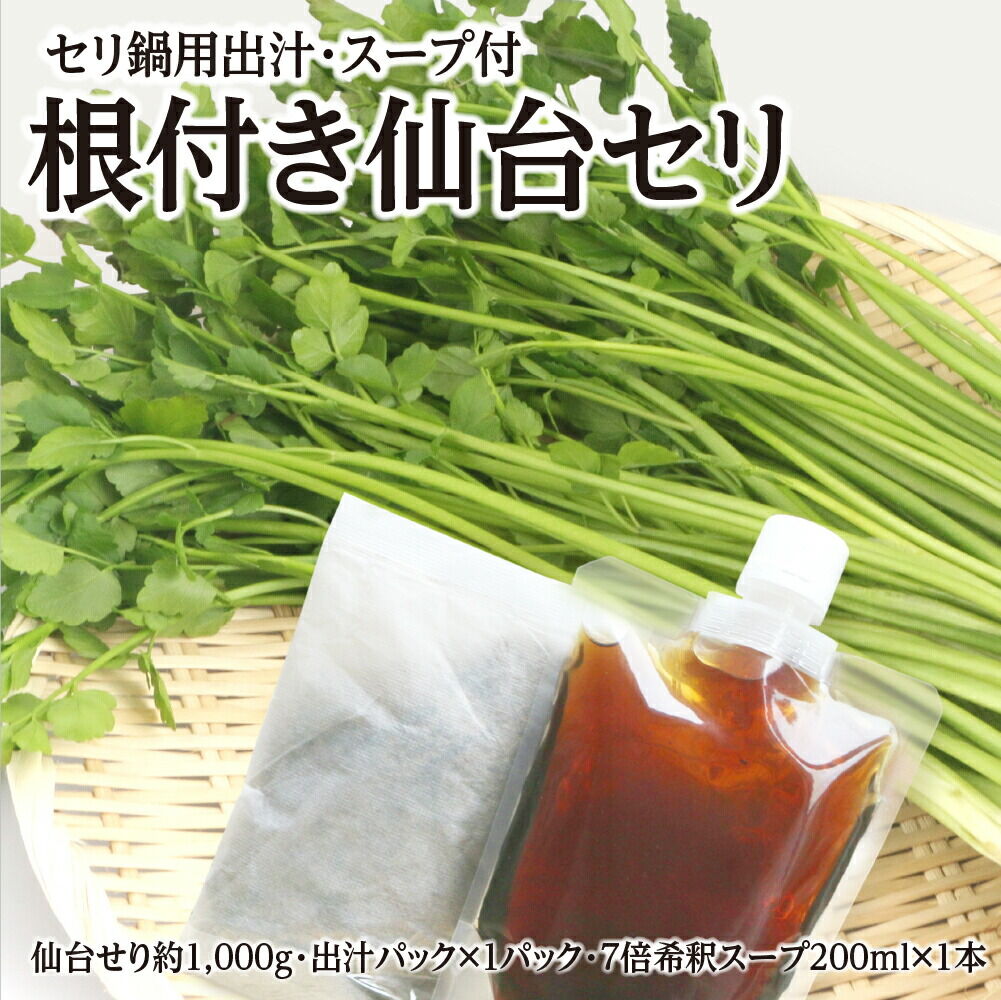 【期間限定】根付き仙台セリ鍋出汁セット（セリ鍋用出汁・スープ付）（1,000g）9～10人前 [せり鍋 仙台名物 冬 ごちそう 惣菜 セリ]