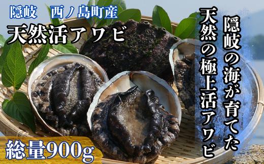
                  島獲れ天然活アワビ 約900gセット 離島が誇る極上アワビを食卓へ！ 
栄養満点な昆布を食べて育つとっても美味しいアワビです！
あわび 活アワビ 鮑 貝 海鮮 BBQ 刺身 あわびステーキ アワビステーキ 肝醤油 バーベキュー ギフト お中元 御中元 島アワビ 高級あわび 活アワビ 新鮮 贈答用
                