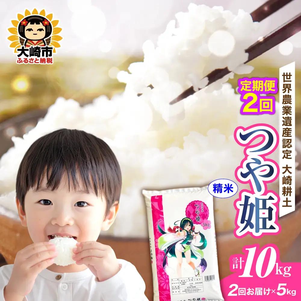 定期便《精米》令和7年 宮城県産 つや姫 5kg×2回（計10kg） | ot004-th-5kg-r704-t2