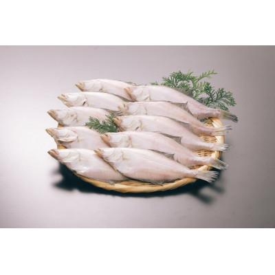 ふるさと納税 京丹後市 【店主一押し!絶品干物!高リピート!】エテカレイ一夜干し干物セット 中サイズ(朝食サイズ)12枚 |  | 03