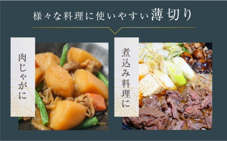 厳選 飛騨牛 切り落とし 切落し A4・A5ランク 1kg[DE026]