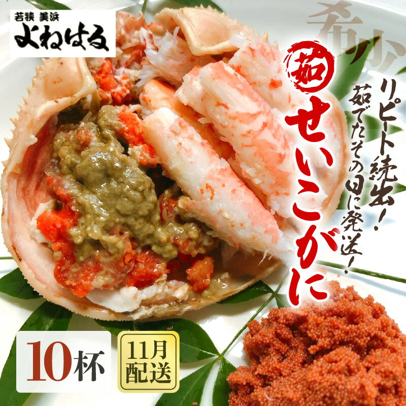 【ふるさと納税】【先行予約】天然 せいこがに × 10杯 (1杯約190g) 茹でたその日に発送！【2025年11月中旬以降順次発送予定】【冷蔵 本場の味 ボイル 越前ガニ 蟹 茹で セイコガニ ずわいがに ズワイガニ】
