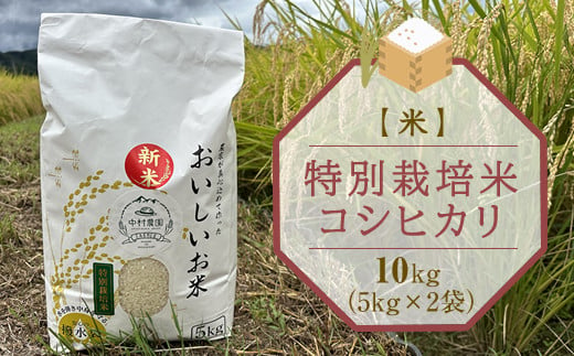 
【先行予約／令和6年産】コシヒカリ（白米）10kg(5kg×2袋)　特別栽培米　小分け　おすそ分け　米　精米　新米　美味　長野県　高品質（北海道・沖縄・離島は配送不可）〈出荷時期:2024年10月初旬出荷開始～2024年12月25日出荷終了〉
