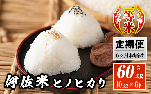 
J5-01 【定期便】鹿児島県産！伊佐米ヒノヒカリ(計60kg・10kg×6ヶ月) 薩摩の北の郷、清き水の流れで生まれるお米【神薗商店】
