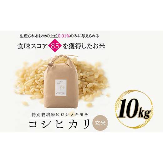 特別栽培米 コシヒカリ ヒロシノキモチ 玄米 10kg ブランド米 銘柄米 国産 米 お米 日本米 ギフト 贈り物 備蓄 防災 食品 陽咲玲 はるざれ F6T-989