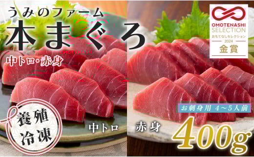 
            【高知県大月町産】うみのファーム お刺身用本まぐろ赤身・中トロ  計400ｇ
          