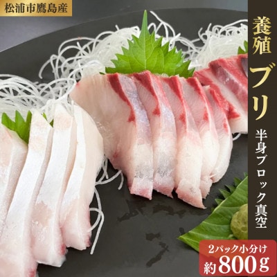 養殖ブリ 【半身 2パック小分け】ブロック真空　約800g【配送不可地域：離島・沖縄】【1743012】