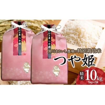 ふるさと納税 鶴岡市 【毎月定期便】黒川まるいし農場のつや姫10kg(5kg×2)[K-881]全6回