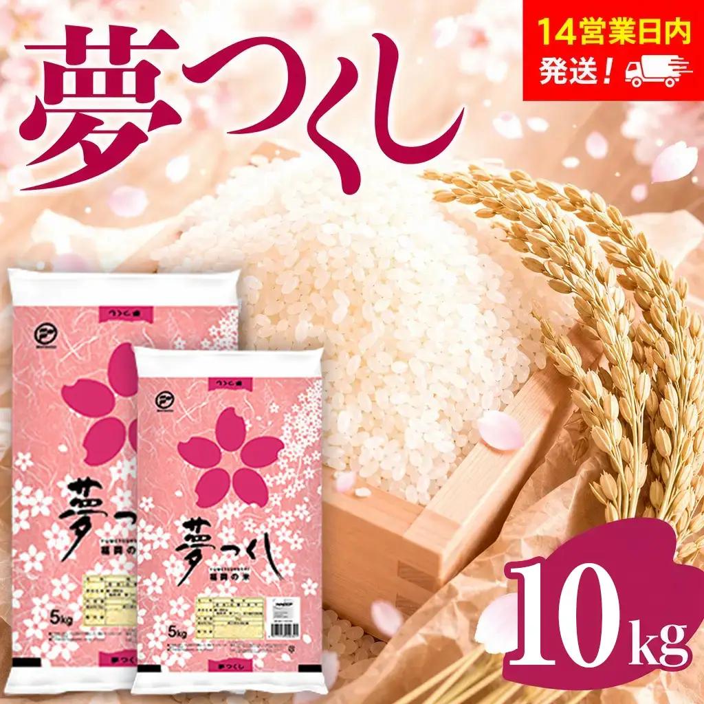 米 福岡県産米 夢つくし 10kg【スピード発送】CY009