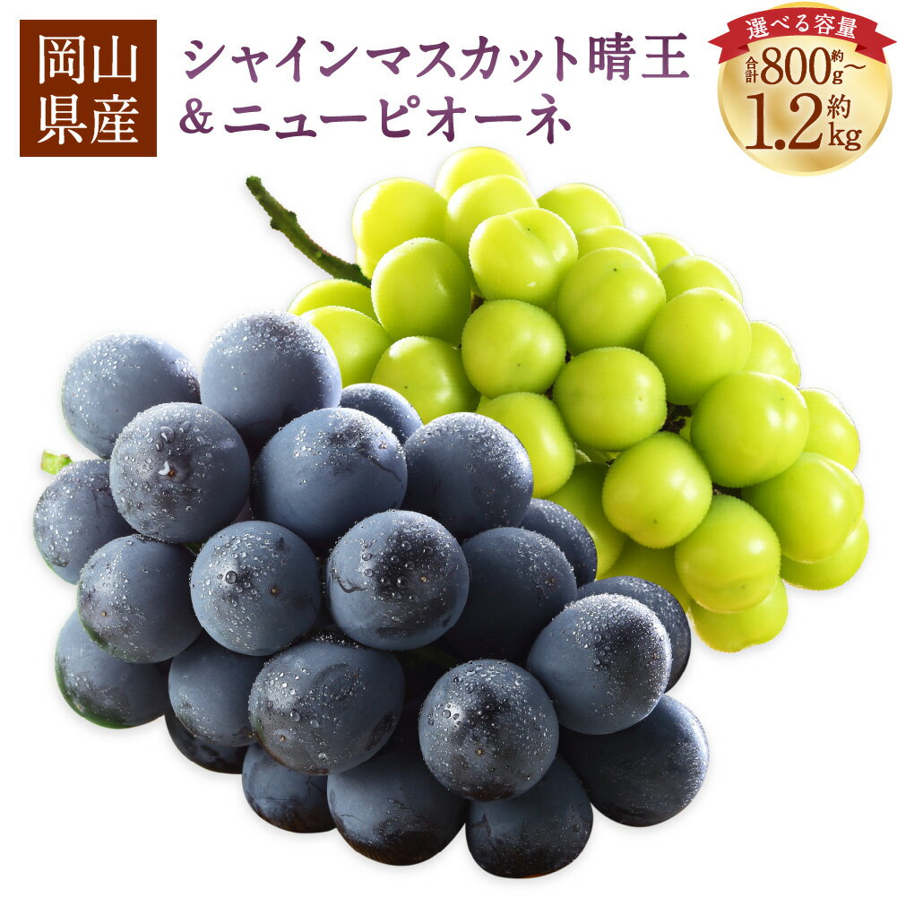 【ふるさと納税】＜選べる内容量＞岡山県産 シャインマスカット 晴王・ニューピオーネ 詰合せ 計約800g / 計約1kg / 計約1.2kg Lサイズ 2Lサイズ 3Lサイズ ぶどう ブドウ 葡萄 フルーツ くだもの 果物 果実 冷蔵 国産 送料無料 【2026年6月下旬～7月下旬発送予定】