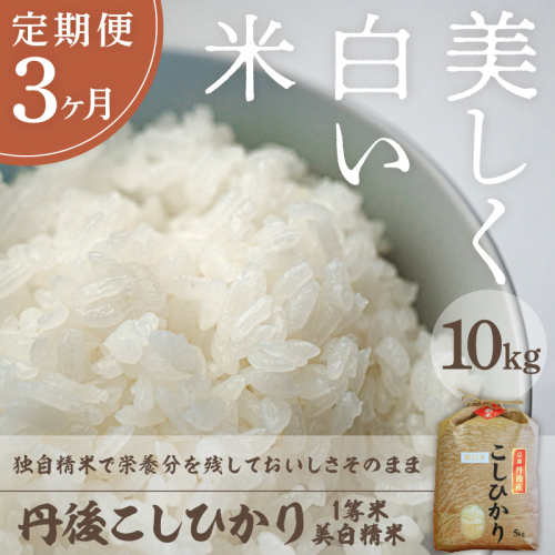 【定期便3回】令和8年産 美白精米 丹後こしひかり 10kg(5kg×2)×3ヵ月 1等米 美白米 お米 丹後 コシヒカリ 精米 ふるさと 納税 コシヒカリ 精米 ふるさと 納税 こしひかり 精米 ふるさと 納税 米 定期便 ふるさと 納税 米 定期便 送料無料