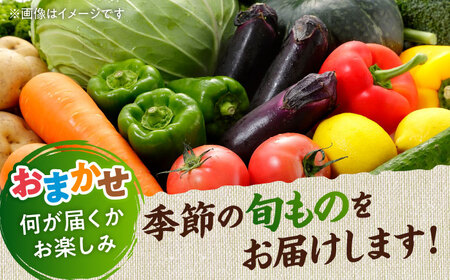 【全9回定期便】旬な野菜おまかせ詰め合わせセット【合志物産販売 志来菜彩】[AYCA005]