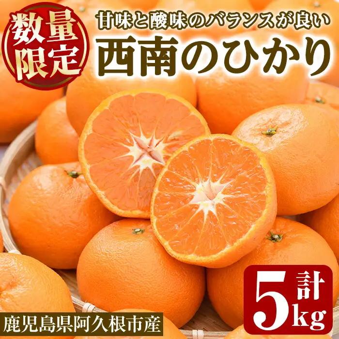 ＜先行予約受付中！2026年12月以降順次発送予定＞＜期間・数量限定＞西南のひかり(約5kg) 国産 鹿児島県 阿久根市 果実 果物 フルーツ 柑橘 みかん ミカン デザート 酸味 甘味 期間限定 数